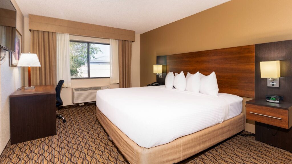 Family suite 1 king